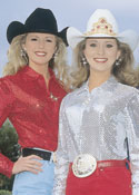 Dazzle Blouse