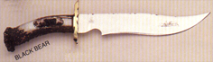 bkbeara.jpg (25419 bytes)