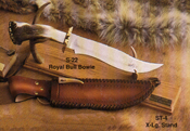 s22a.jpg (37531 bytes)