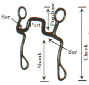 {short description of image}