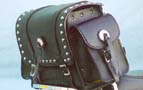 extra_large_bag_a.jpg (10122 bytes)