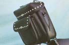 large_bag_a.jpg (9147 bytes)