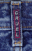 cg1.gif (22264 bytes)