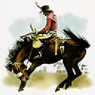 broncrider.gif (22236 bytes)