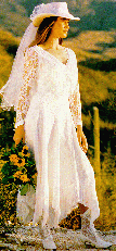 mmc381.gif (22583 bytes)